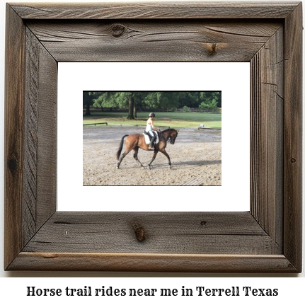 horse trail rides near me in Terrell, Texas